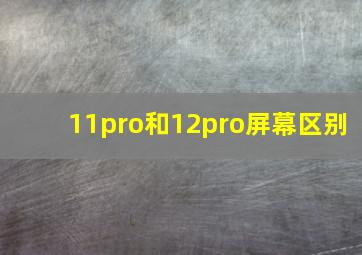 11pro和12pro屏幕区别